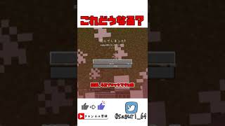 【マイクラ検証】落下耐性の限界はどこ？？？豆知識！【Minecraft】【ゆっくり実況】#shorts