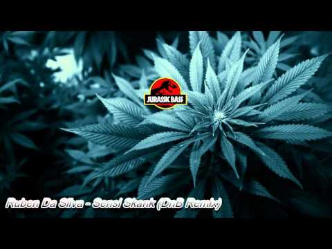 Ruben Da Silva - Sensi Skank (DnB Remix) [JUNGLE]