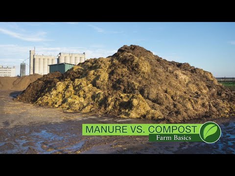 Farm Basics #1063 Manure vs Compost (Air Date 8-19-18)