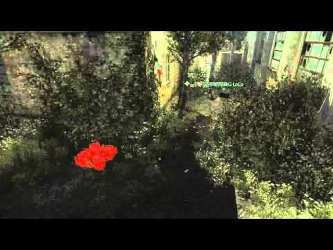 DoG LoCo - MW3 Game Clip