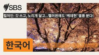 컬처인: 갓 쓰고, 노리개 달고...핼러윈에도 ‘케데헌’ 열풍 분다! | SBS Korean - SBS 한국어 프로그램