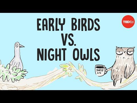 How to Change Your Sleep Cycle From Night Owl to Early Bird