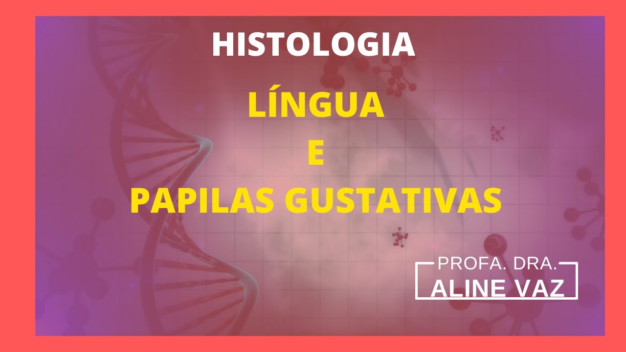 Histologia da língua | Histology guide | Histologia humana