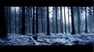 Into the Fray - Short Movie