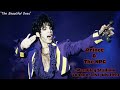 Prince In Concert Wembley Stadium London 1993 Act II Tour Live Audio