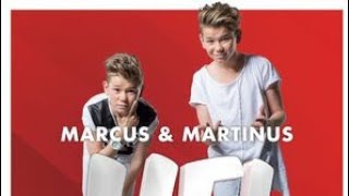 Marcus and Martinus-Ekko-lurics