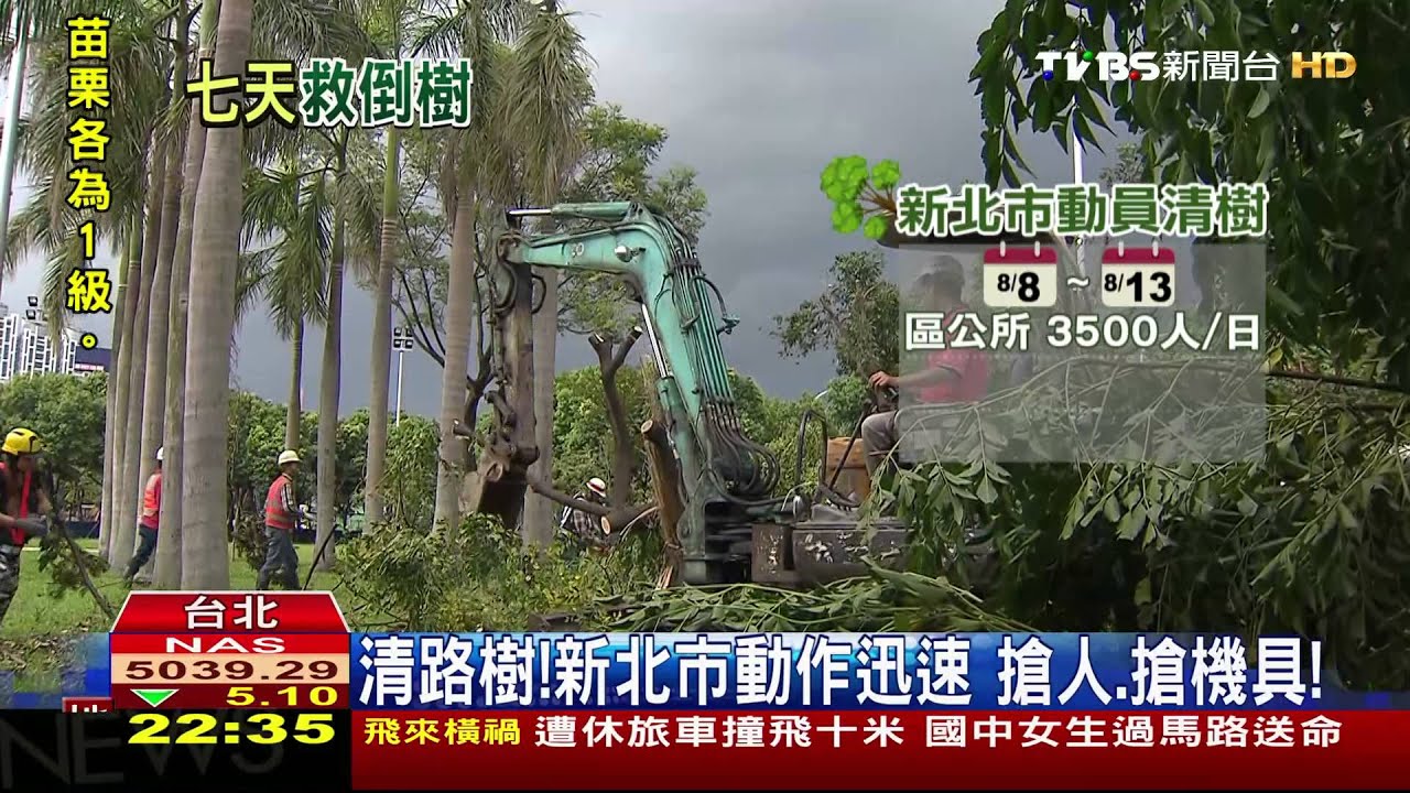 清路樹！新北市動作迅速　搶人、搶機具