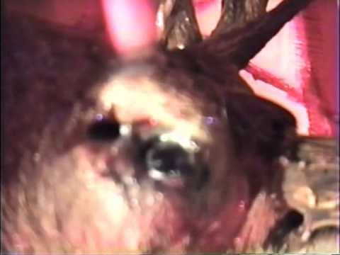 Scrapbook of Blood trailer