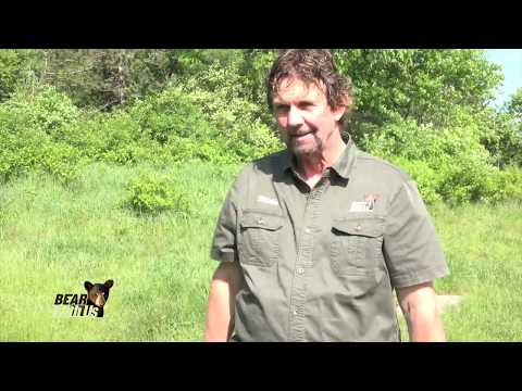 A Safe and Effective Way to Scare a Bear