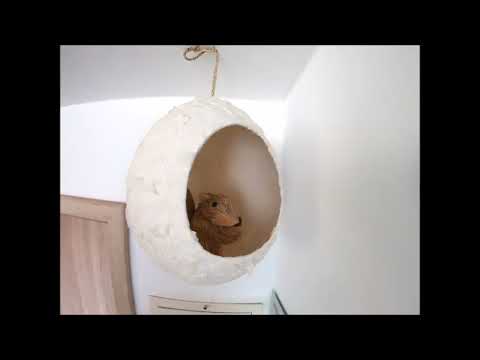 DIY Osterdeko - Ei aus Toilettenpapier