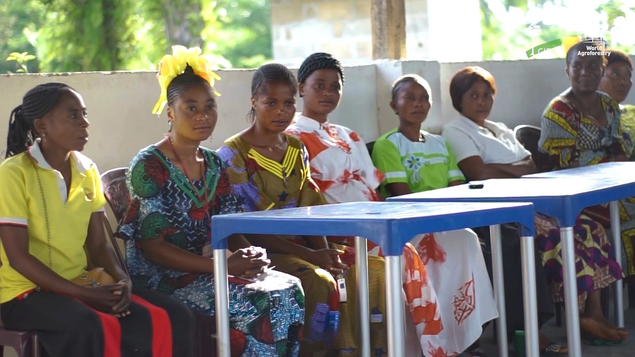 Women from FFS Leading Change: Yangambi Engagement Landscape Insights