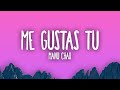 Manu Chao - Me Gustas Tu