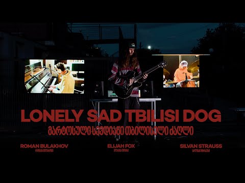 LONELY SAD TBILISI DOG - Roman Bulakhov (ft. Elijah Fox, ft. Silvan Strauss)