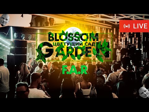 ???? F.A.R - "Blossom Garden" Fantomas Rooftop | Live 22.07.2022