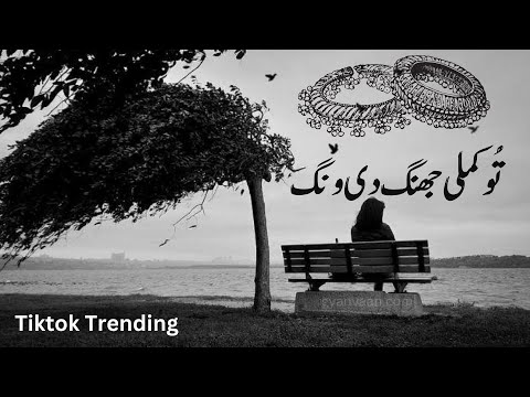 Tu Kamli Jhang di Wang Mangdi | Tiktok Trending  | Slow and Reverb Song