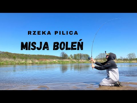 PIERWSZY DZIEŃ SEZONU 2023! Misja BOLEŃ! Boleń z Pilicy.
