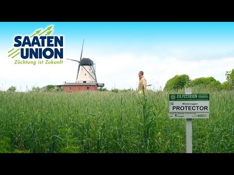 Wir sind die Saaten-Union – Tom Peters