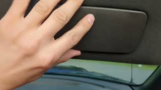 2003 Ford Mustang SVT Cobra Interior Viewing