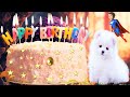 ABARNISHA HAPPY Birthday Song Happy Birthday To You Happy Birthday To You Song ABARNISHA