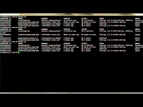 Docker Nginx Php Mysql Haproxy