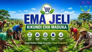 EMA JELI KIKUNDI CHA MADUKA Official Audio Jileka mapanda TV 2026