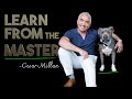 How Cesar Millan, The Dog Whisperer trains his own dogs