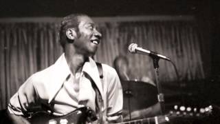 Hound Dog Taylor - Sitting at Home Alone
