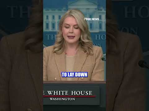 NEW: Karoline Leavitt addresses the shooting near the White House #whitehouse #shorts #incident