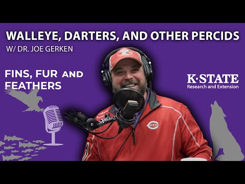 What's a Saugeye? | Fins, Fur, and Feathers Episode 39 - Walleye, Darters, and other Percids