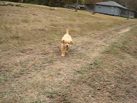Neyla running at the camp