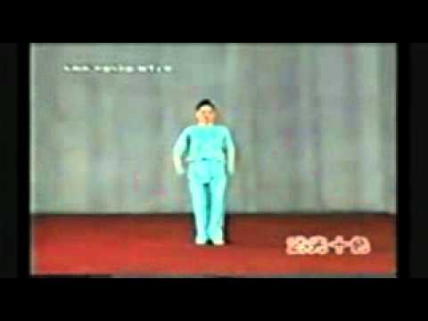 wushu basic movements chang quan