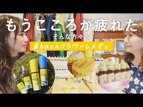 猫用バッチフラワーレメディ