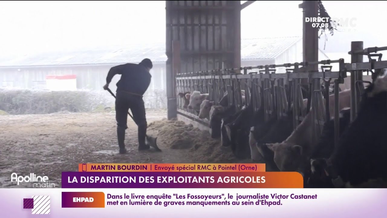 Depuis dix ans, l'Orne a perdu 1 200 exploitations agricole