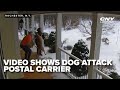 After Dog Attack Former Postal Worker Wins Fight For Greater Protections Consequences