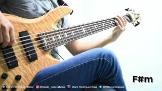 Sigo Siendo Un Romántico - La Mafia (Bass Cover)
