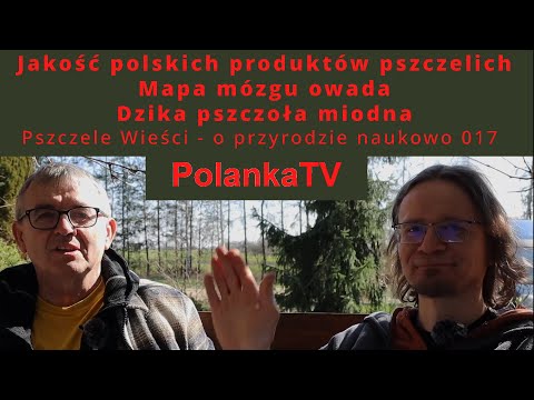 , title : '017 Jakość polskich produktów pszczelich, mapa mózgu owada, dzika pszczoła miodna'