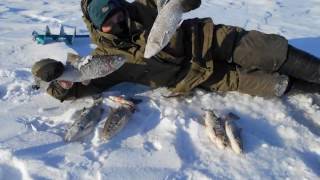 Зимняя рыбалка в самарской области платная