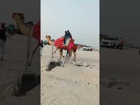 sealine beach camel ride ❤️🐪#sealinebeach #subscribe