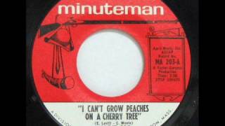 Just Us - I Can&#39;t Grow Peaches On A Cherry Tree - 1966 45rpm