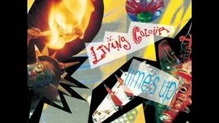 Living Colour Time&#39;s Up