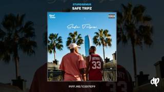 StupidGenius -  Have You Seen Her