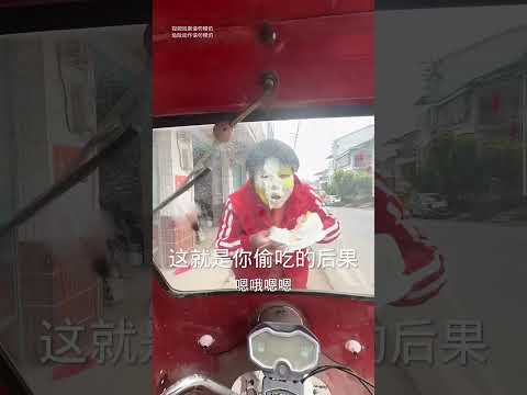 Why does this dog steal my food every day #143