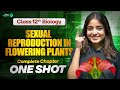 Sexual Reproduction In Flowering Plants Class 12 One Shot NCERT 12th Biology Chapter 1 Revision