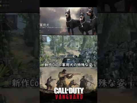 実用的な「CoD ヴァンガード」のバグでスーパーパワーが得られる