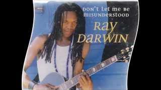 Don't Let Me Be Misunderstood By Ray Darwin