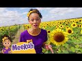 Meekah S Adventure Southern Hill Farms Kids Fun Educational Cartoons Moonbug Play And Learn