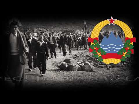 Slovenian Partisan Song - Domovina naša je svobodna [ENG subs]