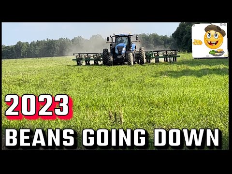 Calling In The Big Guns