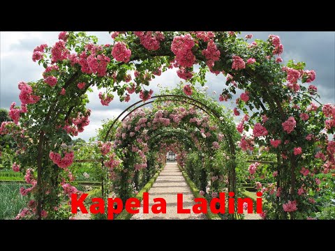 Kapela Ladini - S náručí růží With the arms of roses