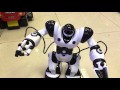 Интерактивный робот Тиктоник 